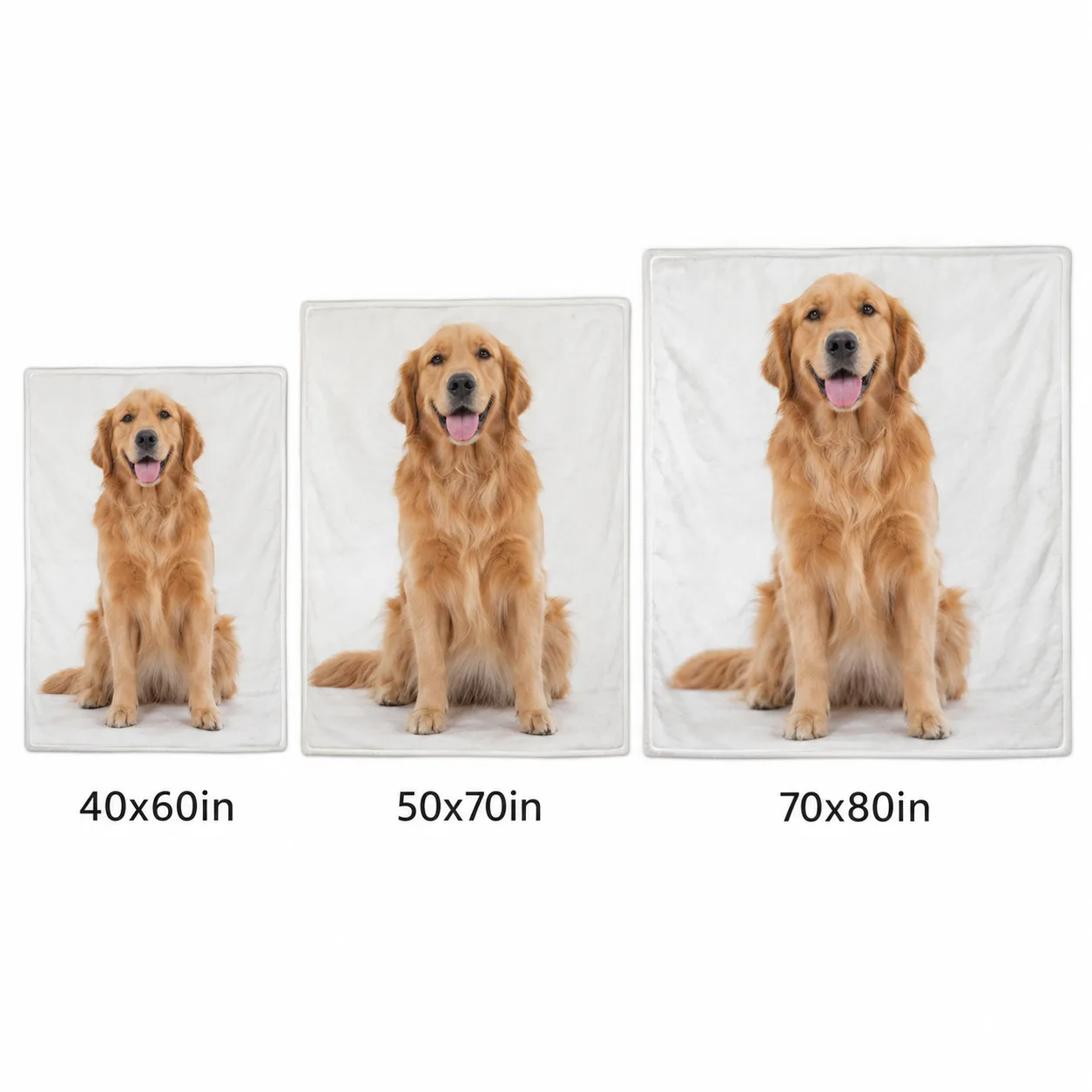 Blanket size comparison from 40x60in to 70x80in