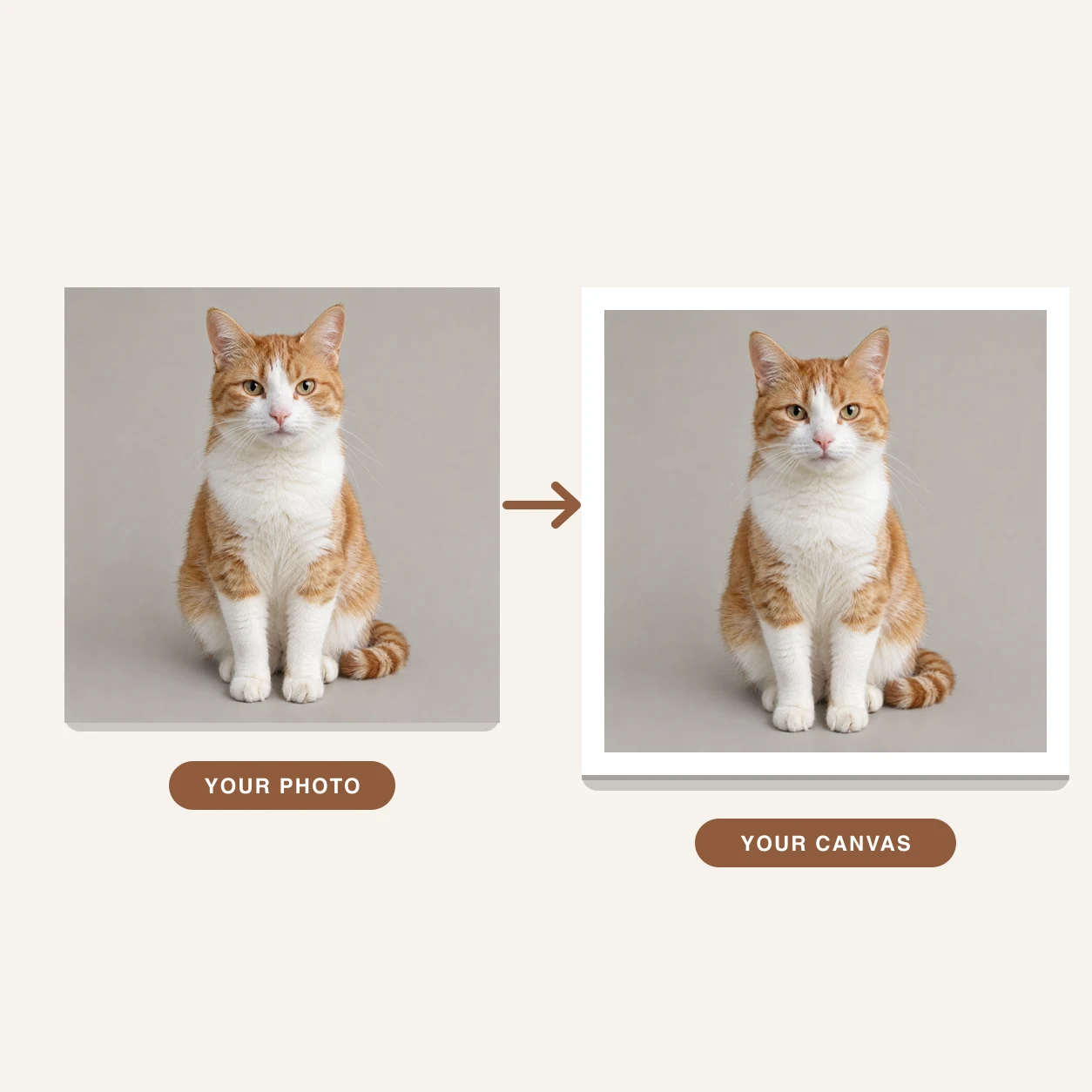 Exemple : photo de chat transformée en toile finie