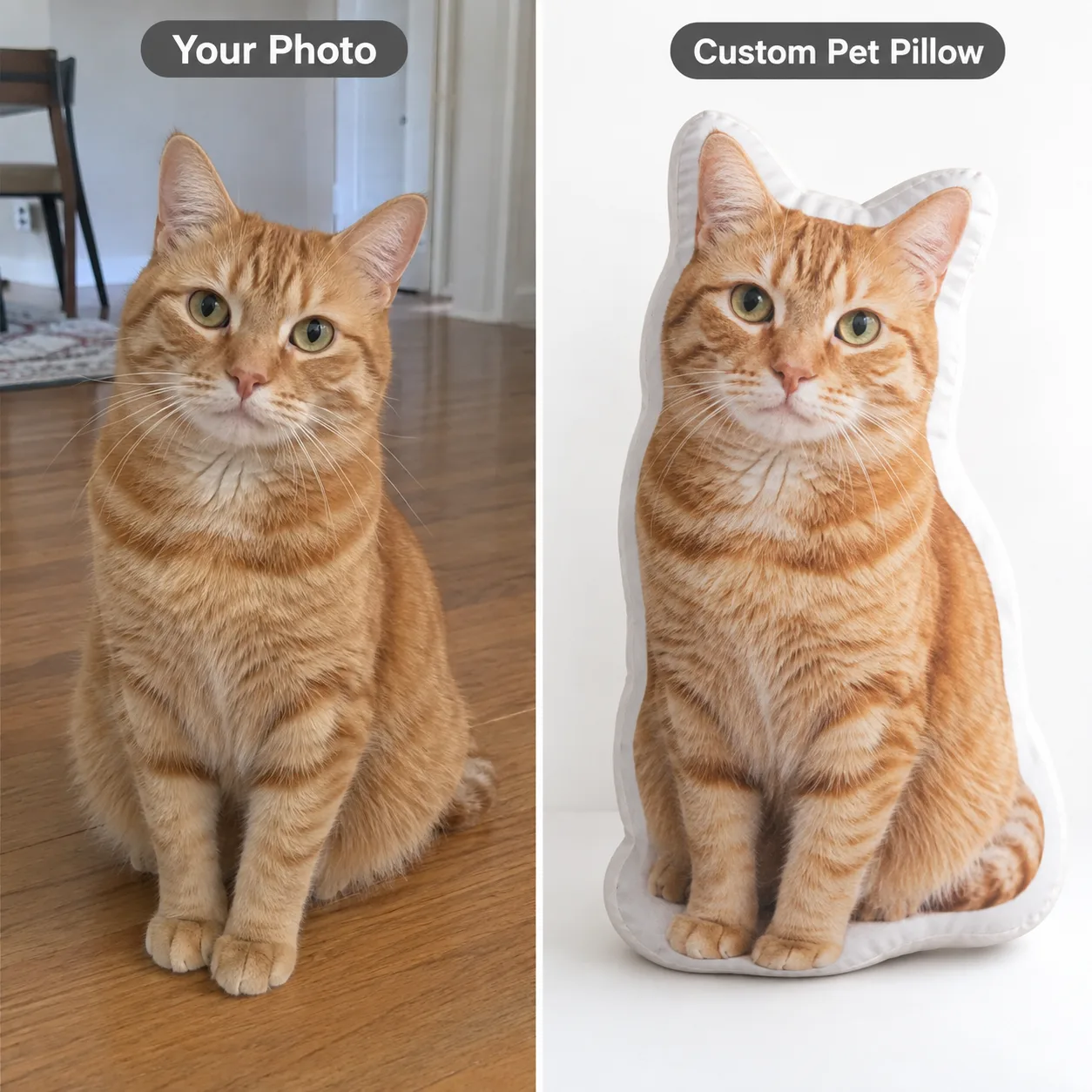 Example: cat photo turned into a finished thick-shaped pillow