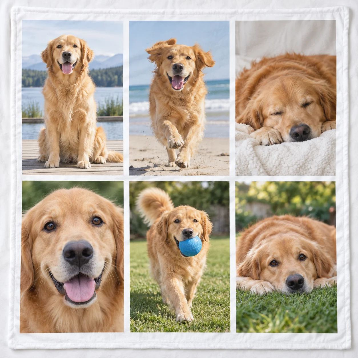 Multi-photo collage